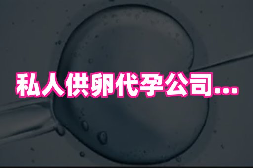 香港助孕网 2