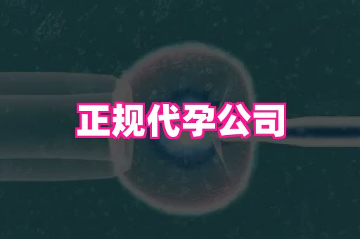 香港助孕网 3