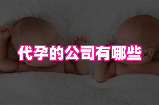 香港助孕网 4